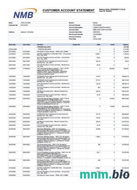 Tanzania NMB wyciąg z konta bankowego Word i szablon PDF, 2 strony